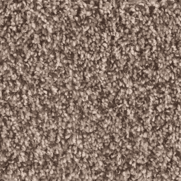 phenix-carpet-15
