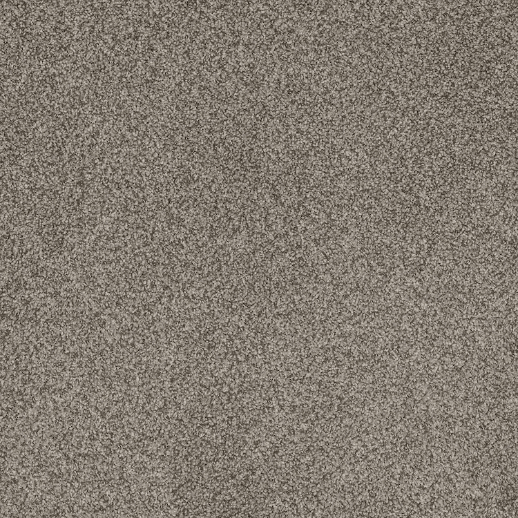 phenix-carpet-20