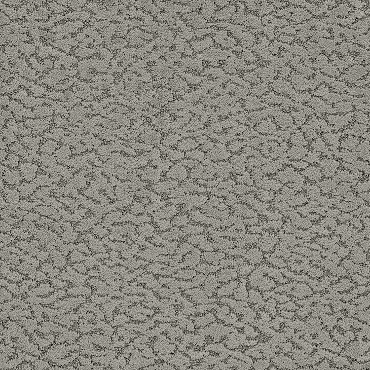 phenix-carpet-3 phenix carpet 3