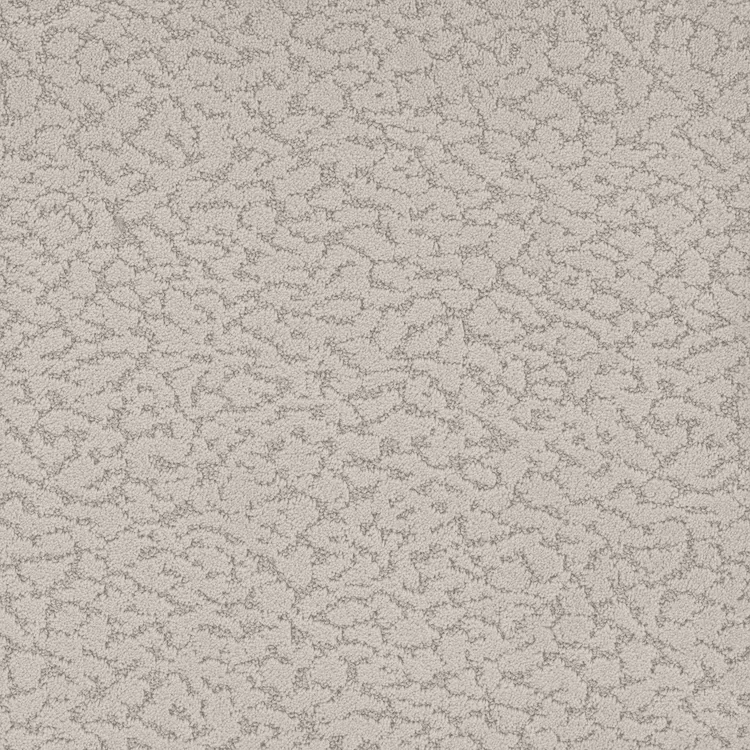 phenix-carpet-4