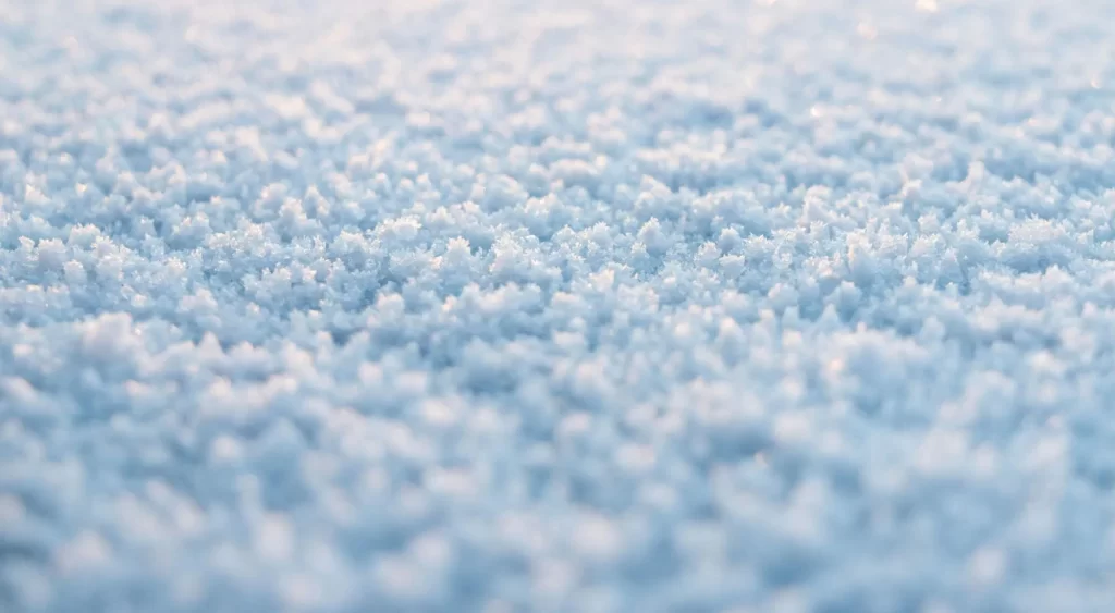 low pile vs high pile carpet